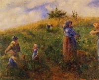 Pissarro, Camille - Picking Peas